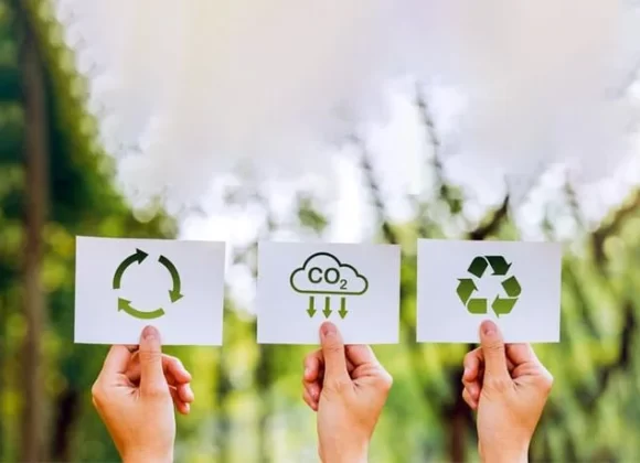 4 Tendencias de Sostenibilidad para 2024